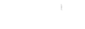 aesthetic depot footer logo